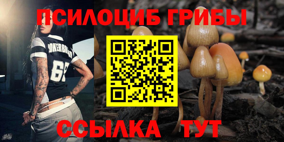 Сыктывкар  Псилоцибиновые грибы Cubensis  где продают   Галлюциногенные грибы Psilocybe  Вход с VPN 